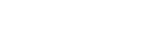 logo light